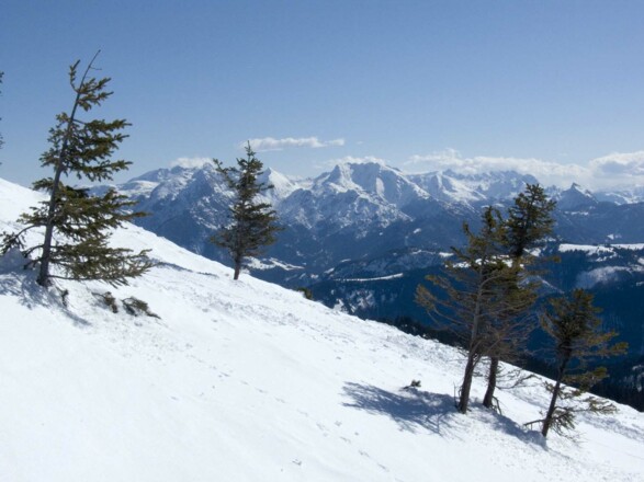 Ausblick vom Gipfelrücken auf die Berchtesgadener Alpen