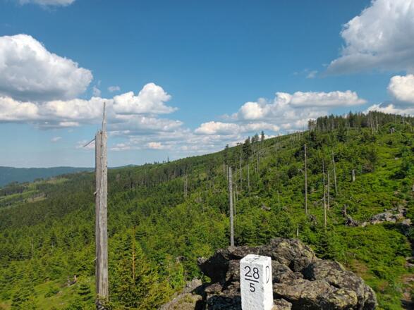 Lohberger Riegel - links davon der Spitzberg
