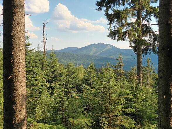 Gr. Arber vom Zwercheckabstieg