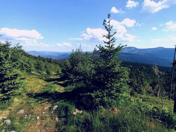 Abstieg vom Zwercheck