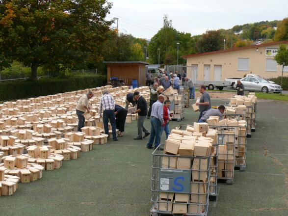 Weg der Vögel Igersheim - Auslöser Regionenspiel des SWR 4 - 8136 Nistkästen wurden gebaut