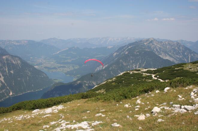 Paragleiter Krippenstein
