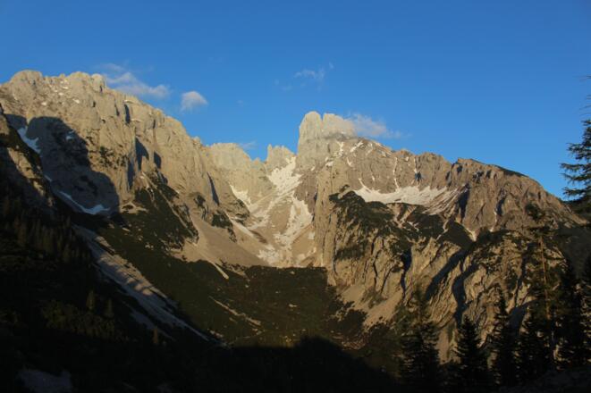Bischofsmütze