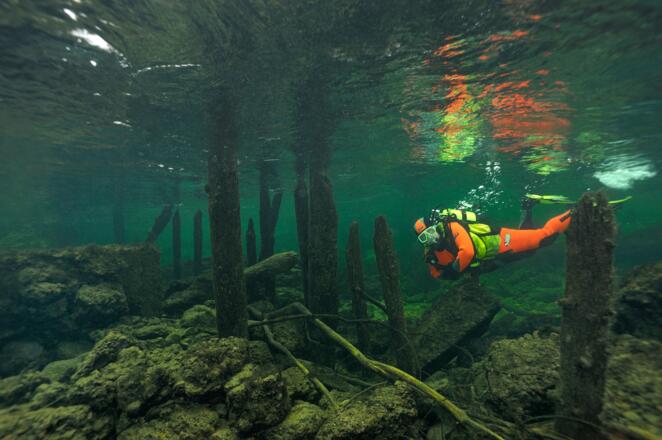 Taucher in der Traun