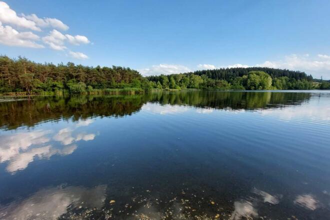 Abkühlung am Rinsersee
