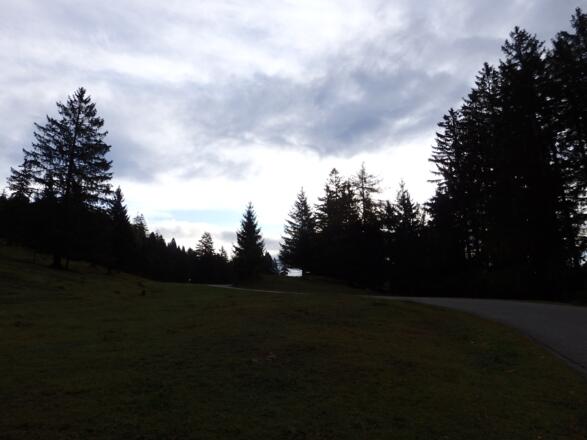 Fahrweg Richtung Siglhof