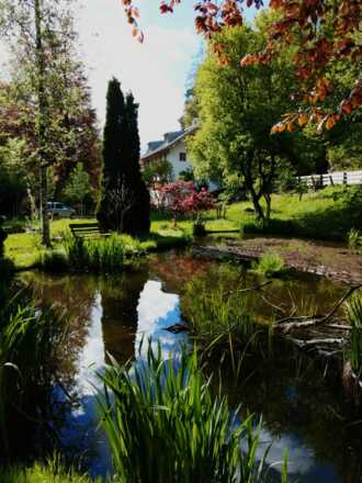 Ein kleiner Teich mit Seerosen vor dem Malerhaus Bad Tölz