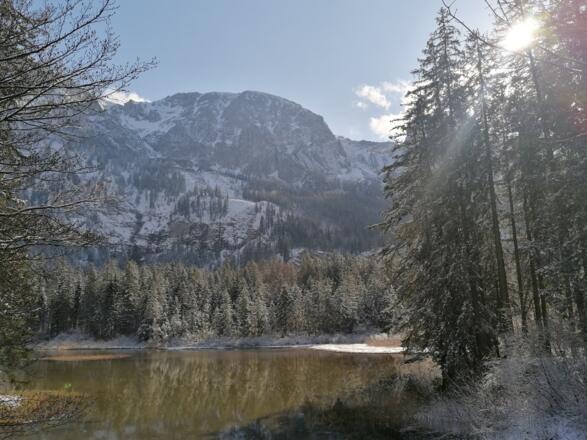Winter