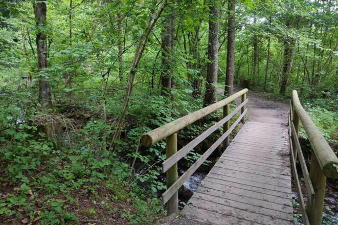 Brücke am Hechtseeabfluss