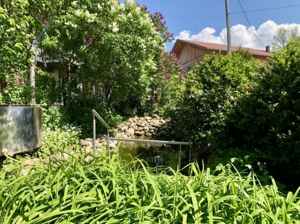 Naturbecken zur Abkühlung vor der Sauna