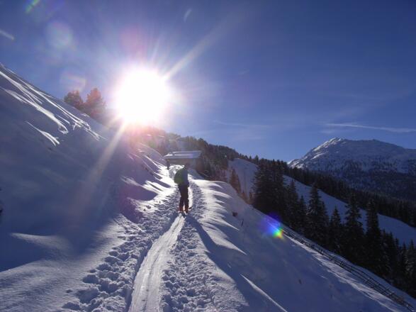 zur Hochsinnalm
