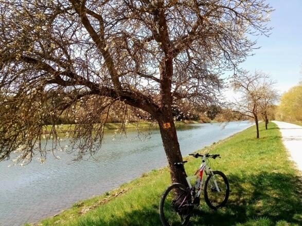 Radfahren am Main-Donau-Kanal