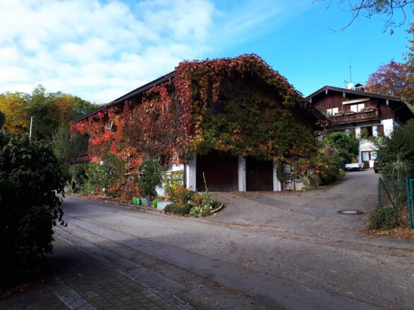 Fewo Südostseite im Herbst