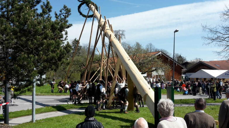 Maibaumaufstellen in Gmund