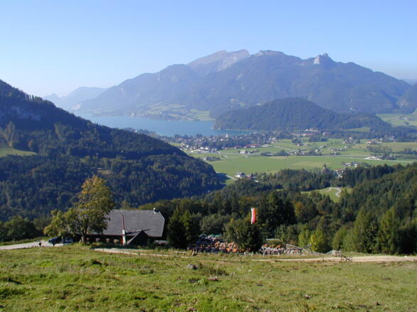Laimeralm