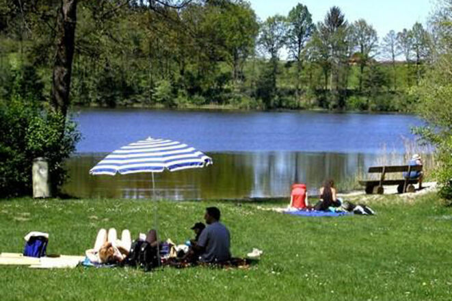Badeplatz mit großer Liegewiese am Rinsersee.