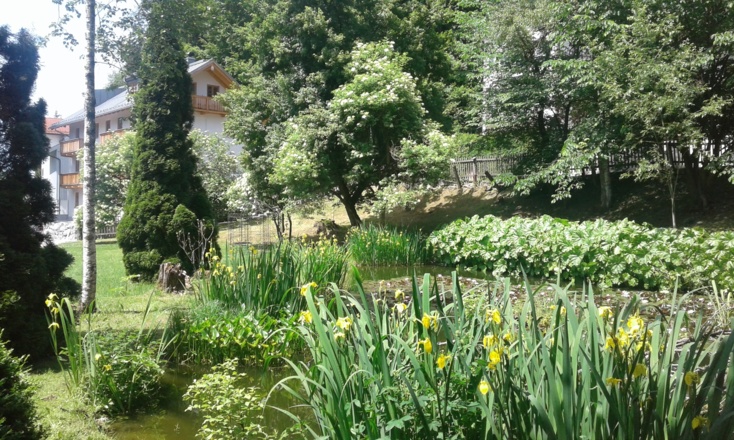 Idyllisch liegt das Malerhaus der Hollerfee Margot Strötz eingebettet in einen großen Garten mit Teich