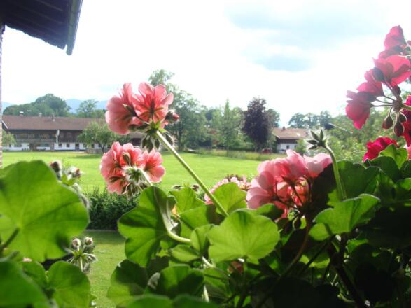 Blick von der Loggia