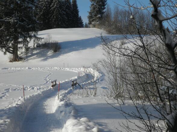 Winterwanderweg