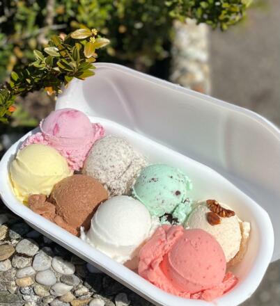 fischer-eis-bestellung