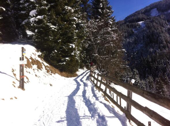 Am Weg Richtung Rodelbahn