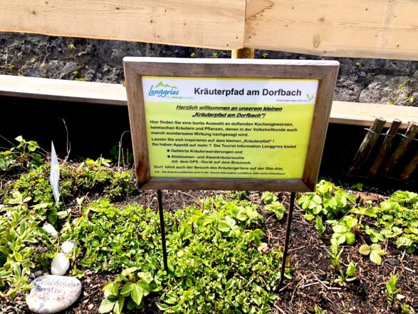 Infoschild Lenggrieser Kräuterpfad