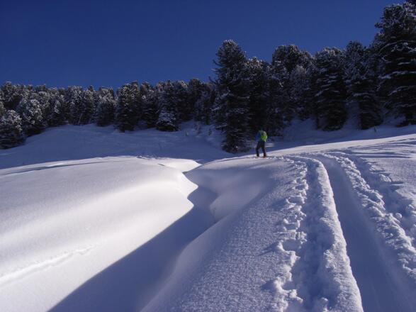 auf der Lichtung höher zum Zirbenwald