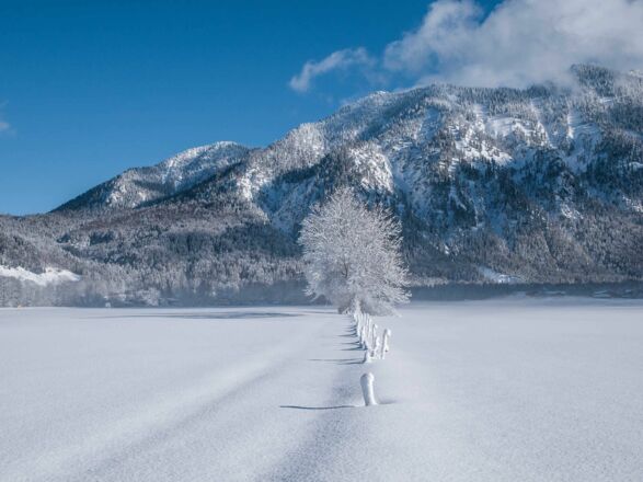 Ferienwohnungen Festlhof in Rottach-Egern am Tegernsee