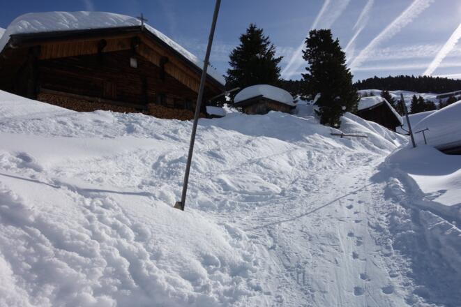 Hochsinnalm - Abzweigung nach links, geradeaus gehts zum Hohen Kopf
