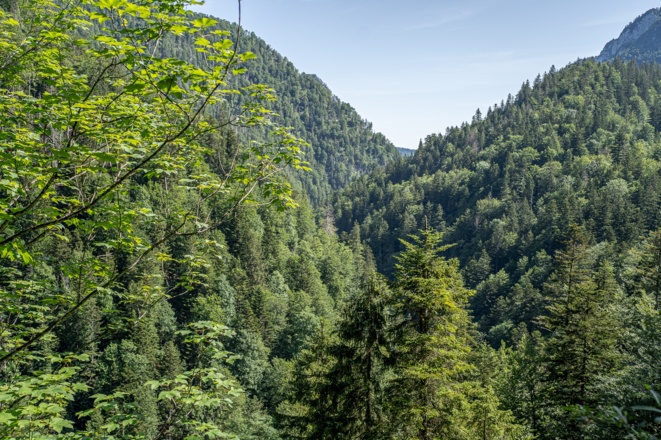 Blick über die Schwarzachenklamm