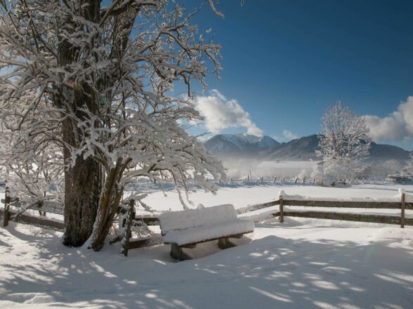 Ferienwohnungen Festlhof in Rottach-Egern am Tegernsee