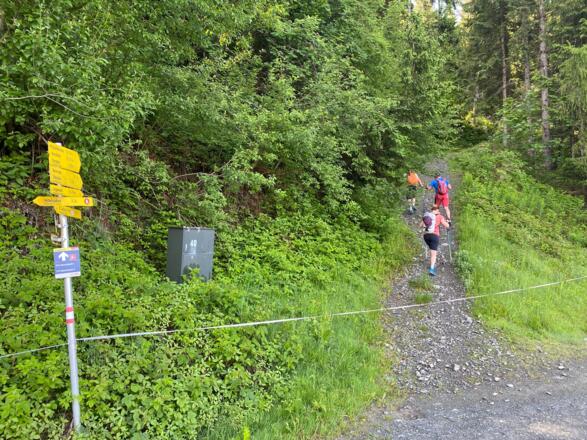 Beim Bergsee Angereralm nach der Mittelstation Harschbichllift kurz steil durch den Wald