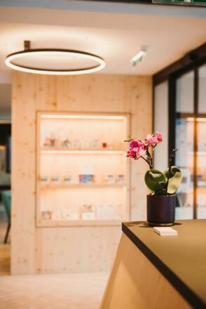 Empfangsbereich | Alpin - Studios & Suites