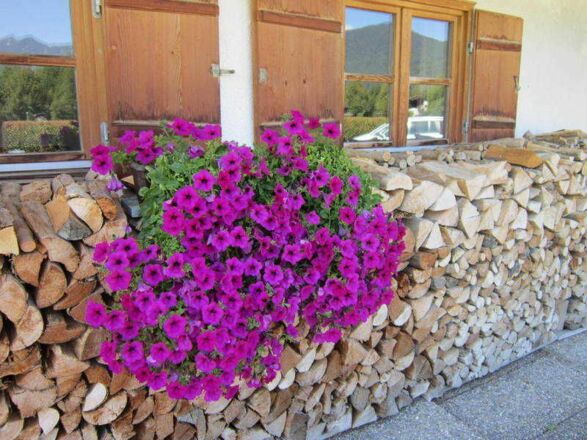 Blumenschmuck