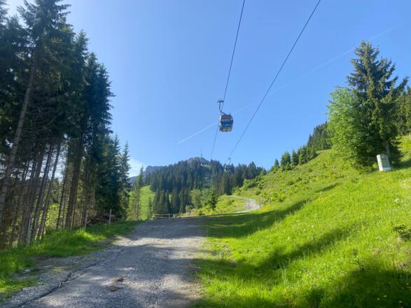 Aufstieg nach der Angeralm kurz unter der Harschbichl Seilbahn entlang