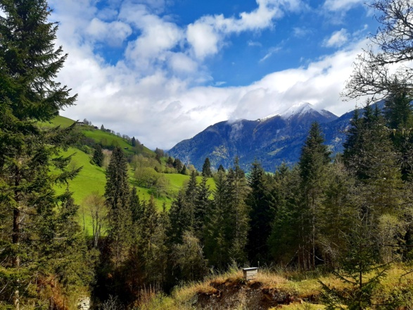 Angertal - zicht op Gamskarkogel