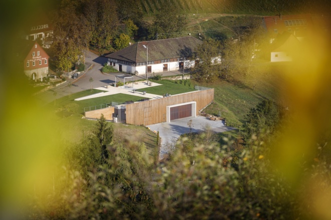Weingut Gold