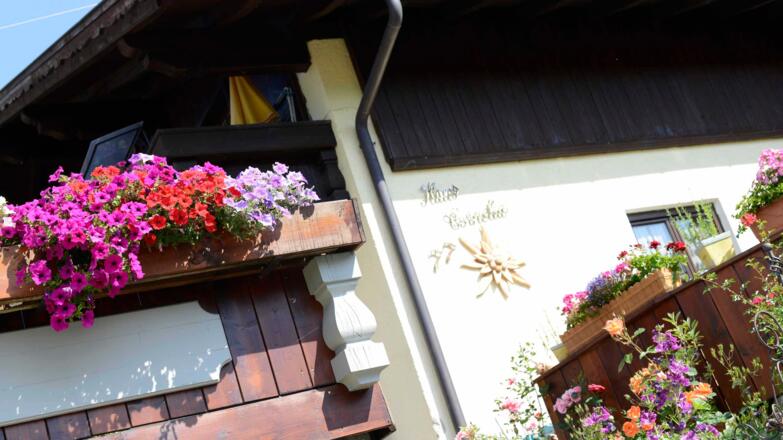 Aussenansicht im Sommer