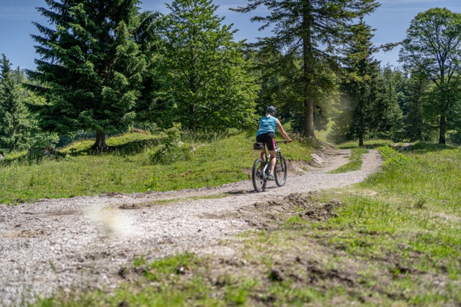 Mit dem Mountainbike unterwegs zur Reiter Alm