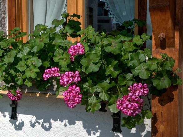 Ferienwohnung Steixner Tegernsee