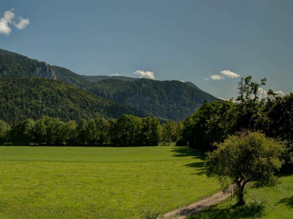 Ferienwohnung Fleischhackerhof - Ausblick vom Südbalkon Richtung Blauberge