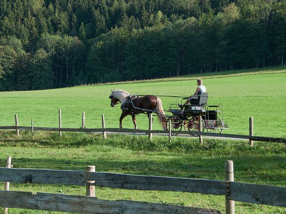 Ferienwohnungen Festlhof in Rottach-Egern am Tegernsee