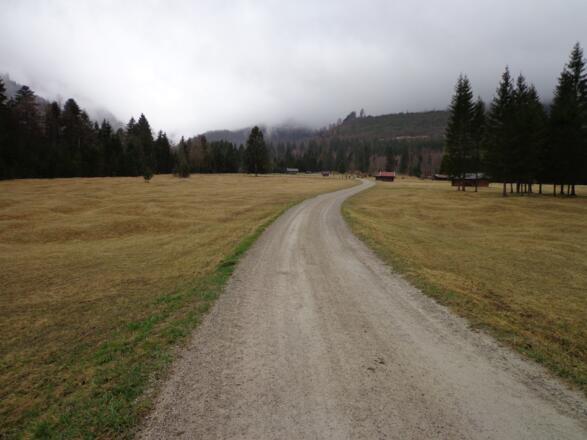 Reschbergwiesen Forstweg