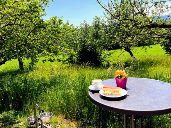 Im Gastgarten, Café Bolzmacher (Wackersberg bei Bad Tölz)