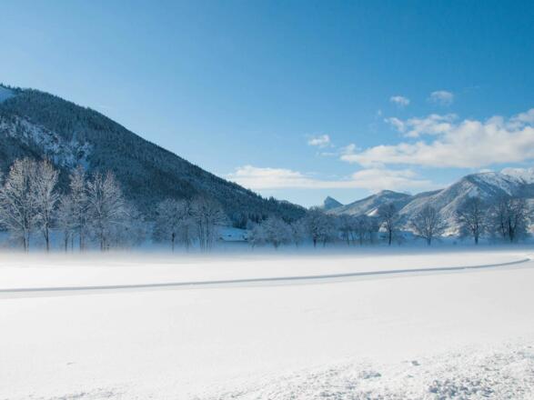 Ferienwohnungen Festlhof in Rottach-Egern am Tegernsee