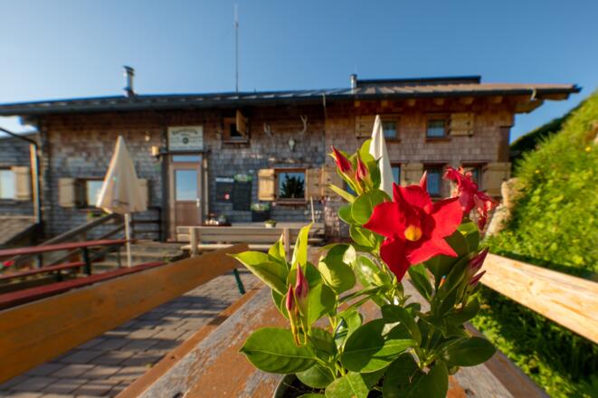 Die Terrasse ist ein Highlight der Gamshütte