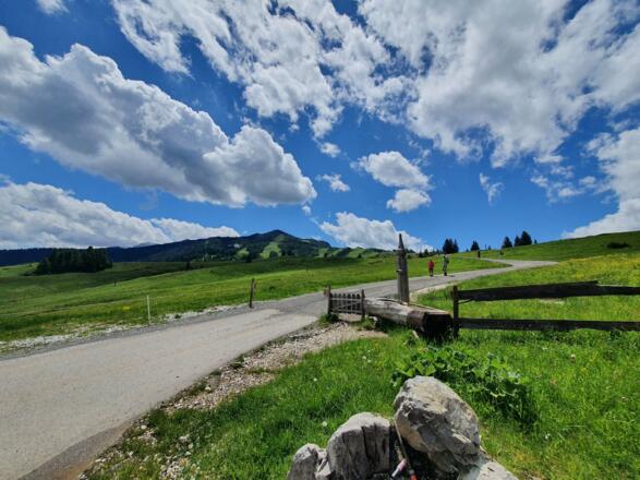 Blick auf die Steinplatte von der Möseralm