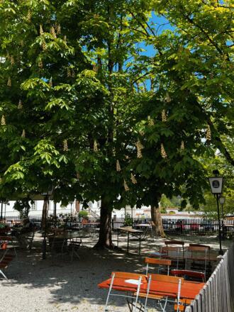 Biergarten vom Klosterbräu Stüberl