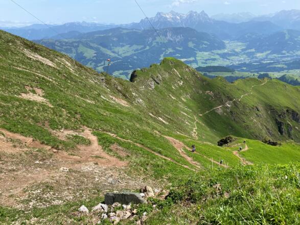 Abstiegsroute vom Kitzbüheler Horn Richtung Osten