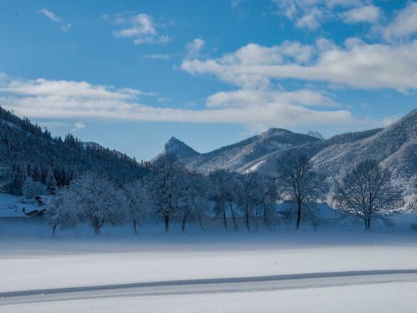 Ferienwohnungen Festlhof in Rottach-Egern am Tegernsee